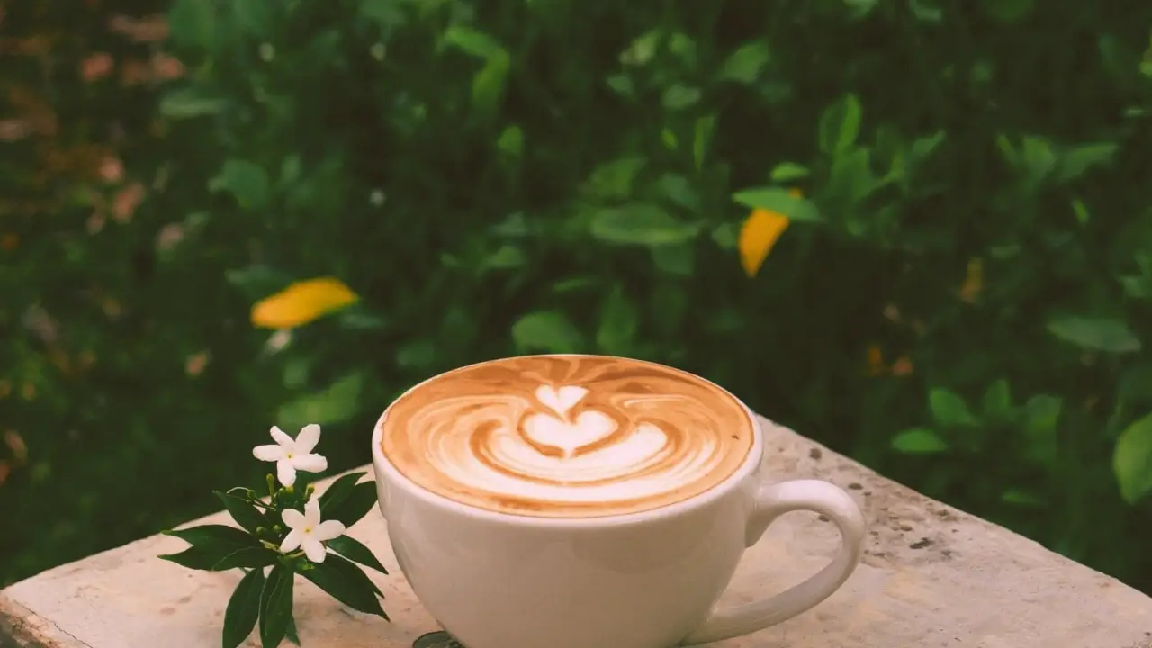 treeside_cafe_hot_latte