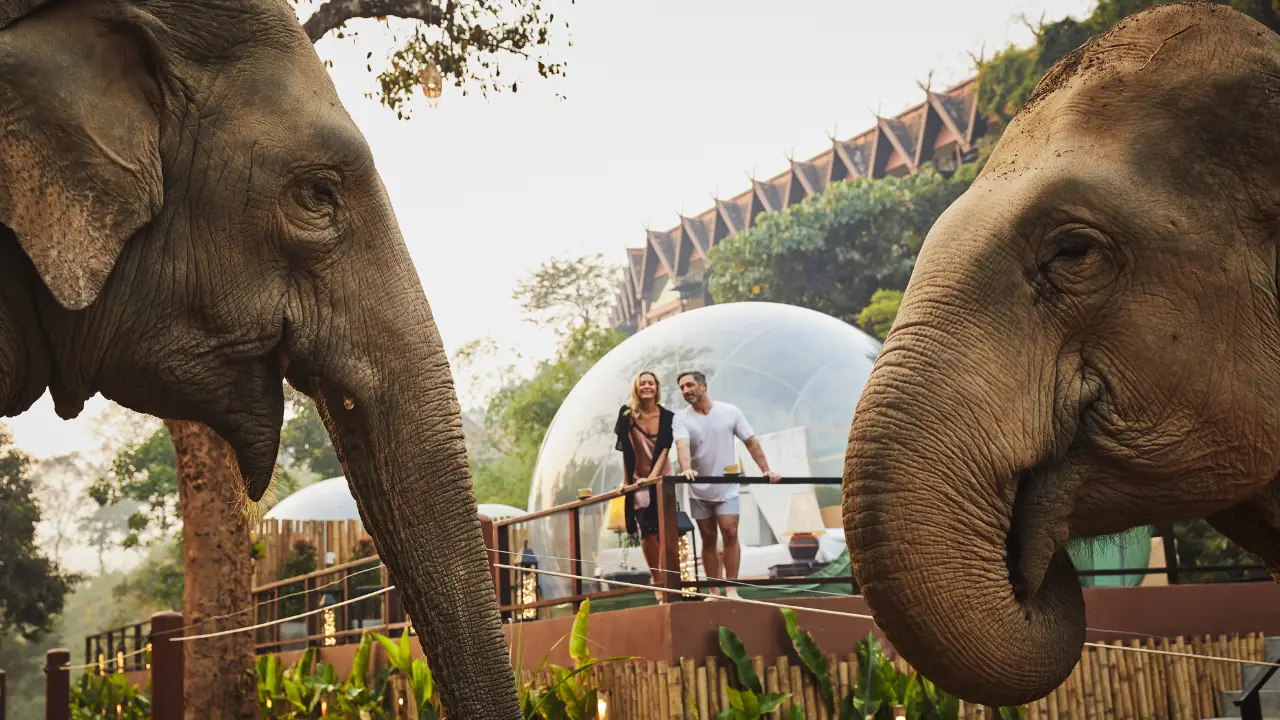 anantara-golden-triangle-elephant-camp-and-resort_03