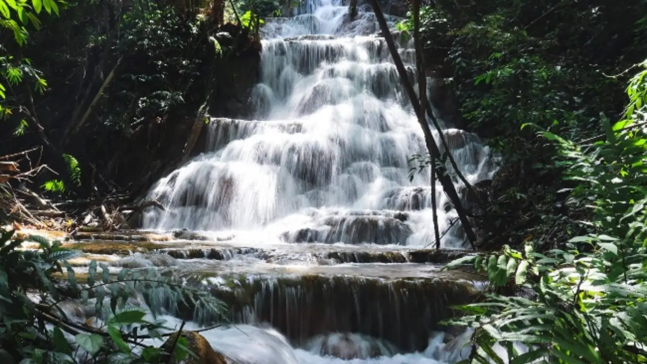 doi_luang_national_park_04