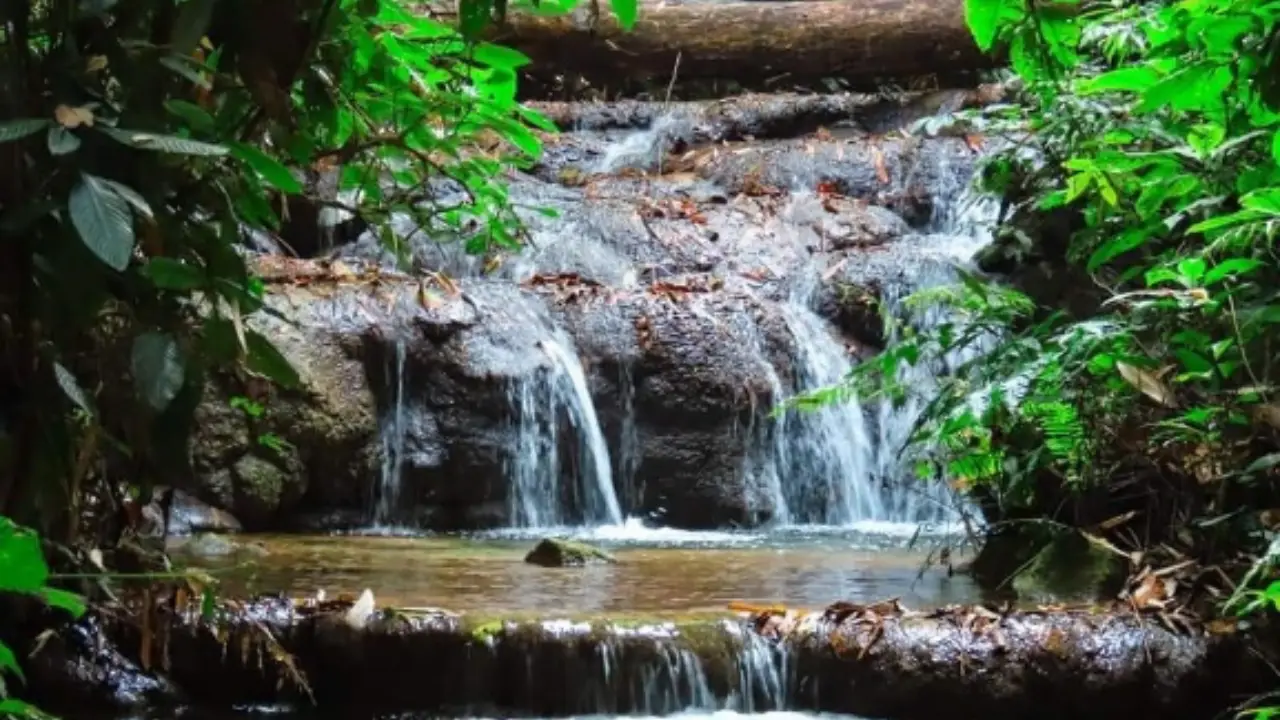 doi_luang_national_park_09