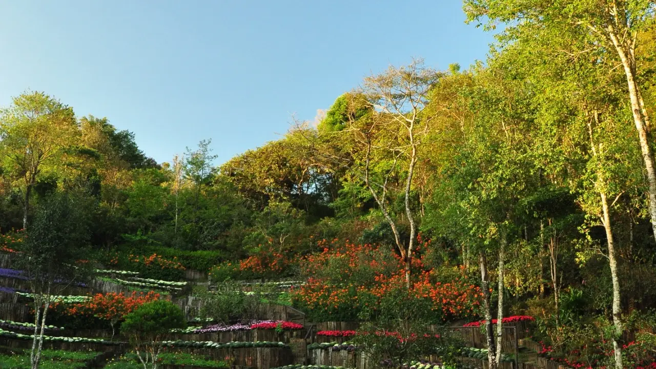 maefaluang_arboretum_04