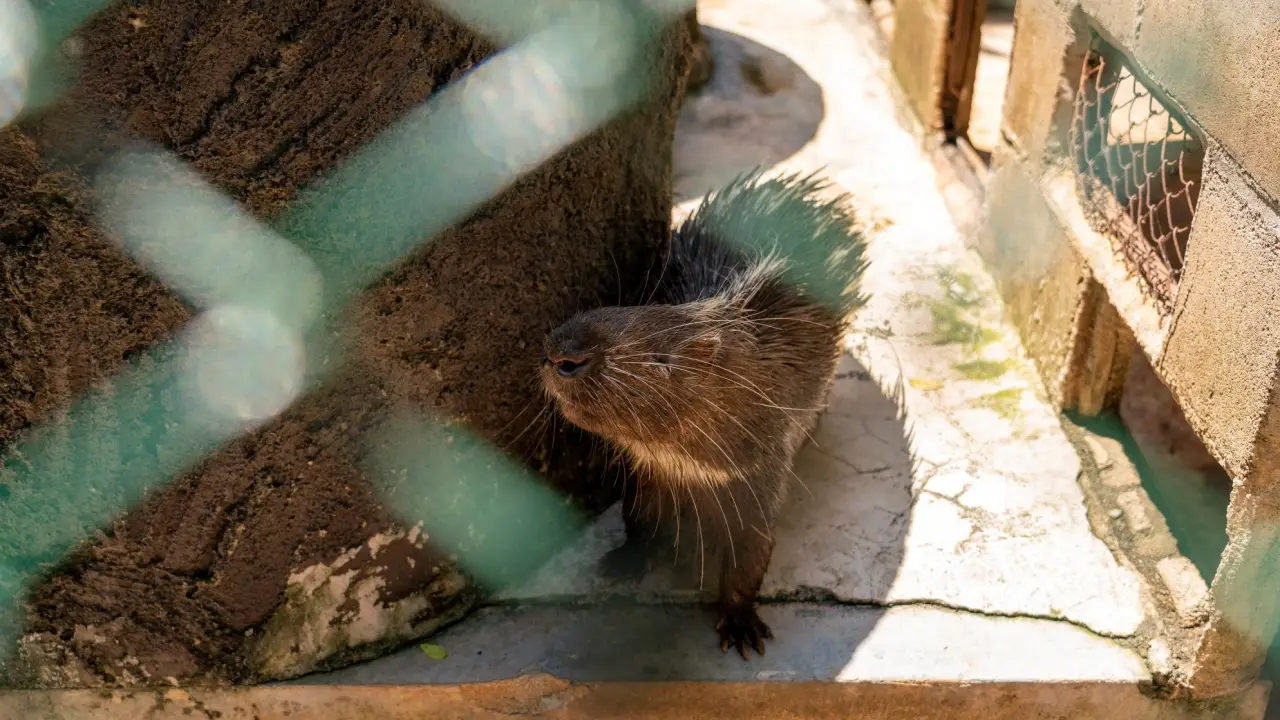 maelao_wildlife_breeding_center_01