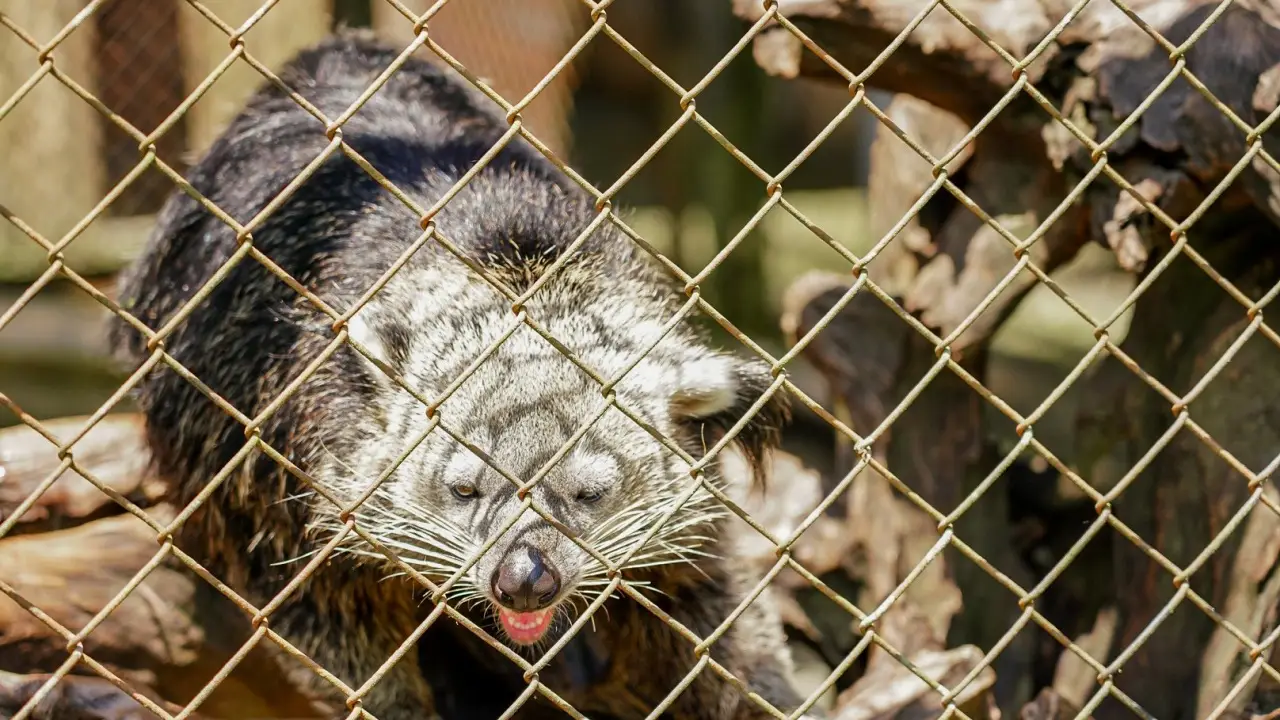 maelao_wildlife_breeding_center_05