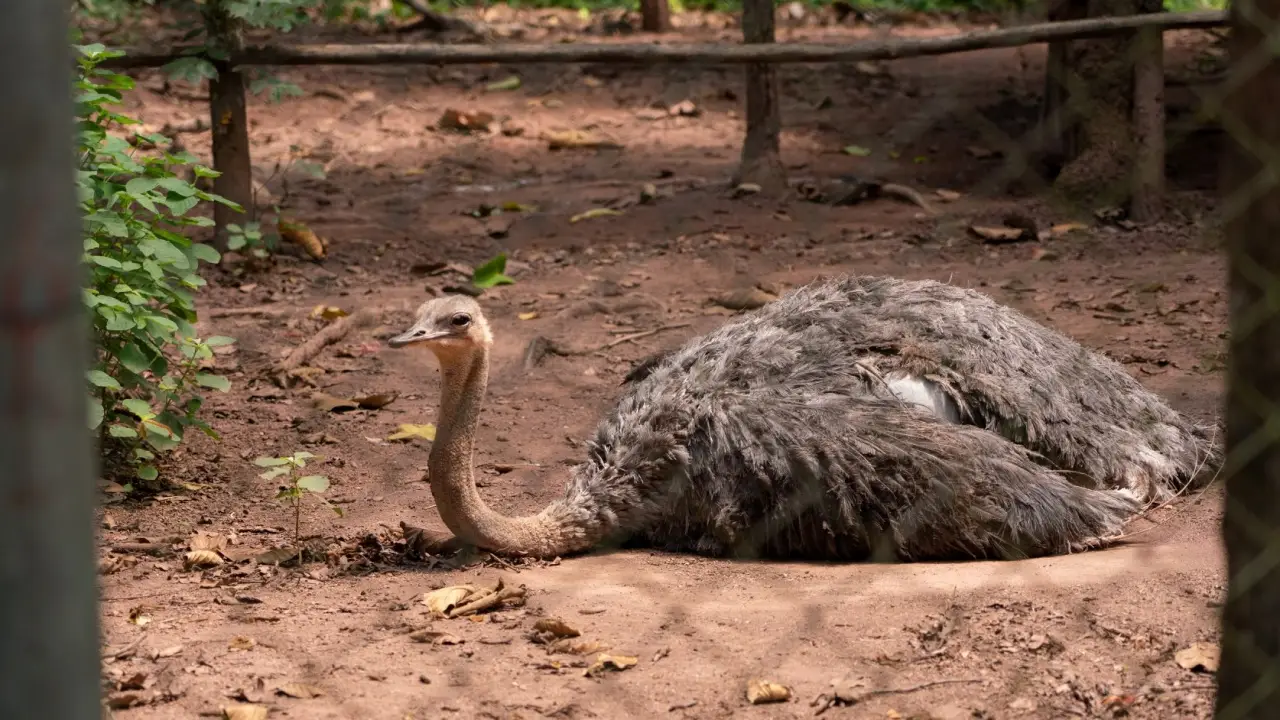 maelao_wildlife_breeding_center_09