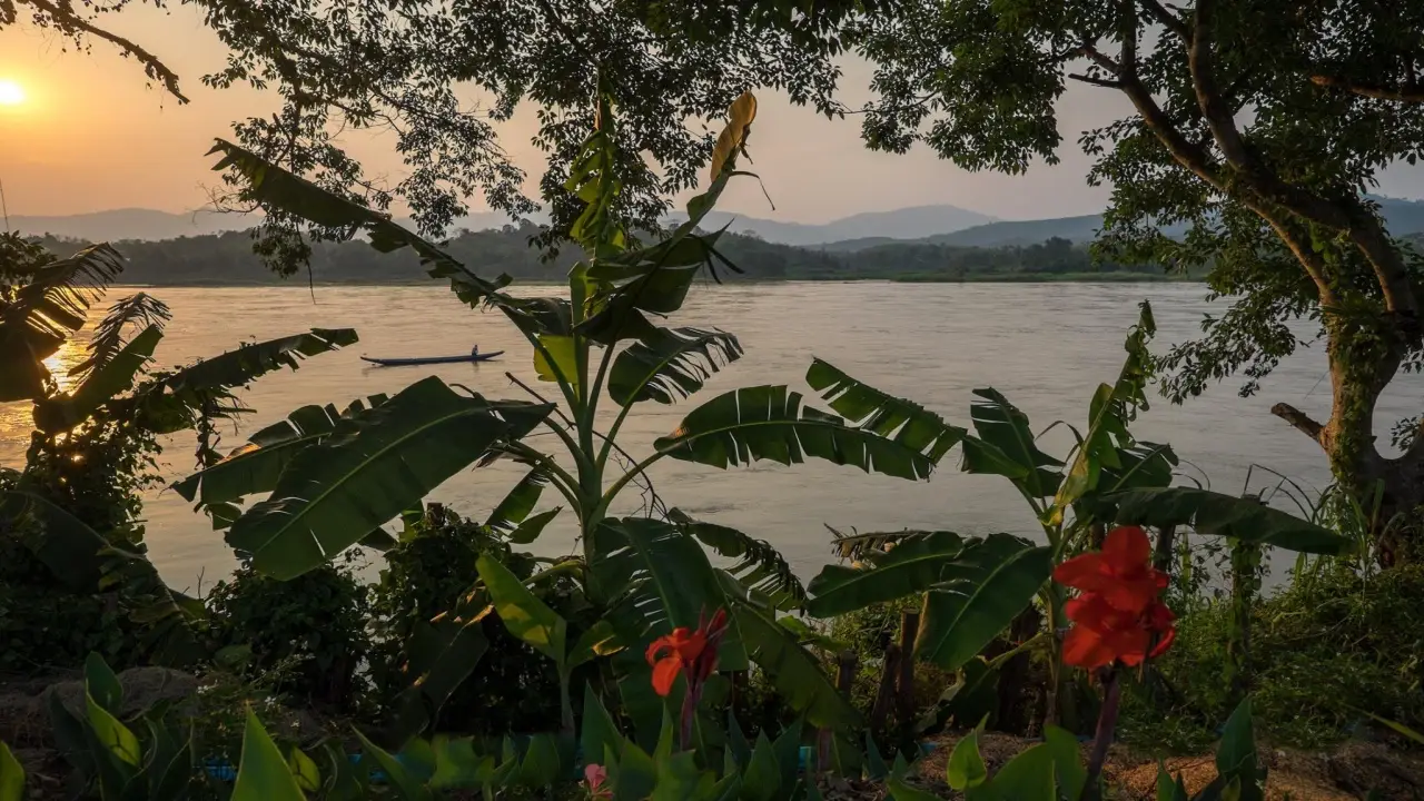 rai_phuchat_homestay_banana_trees